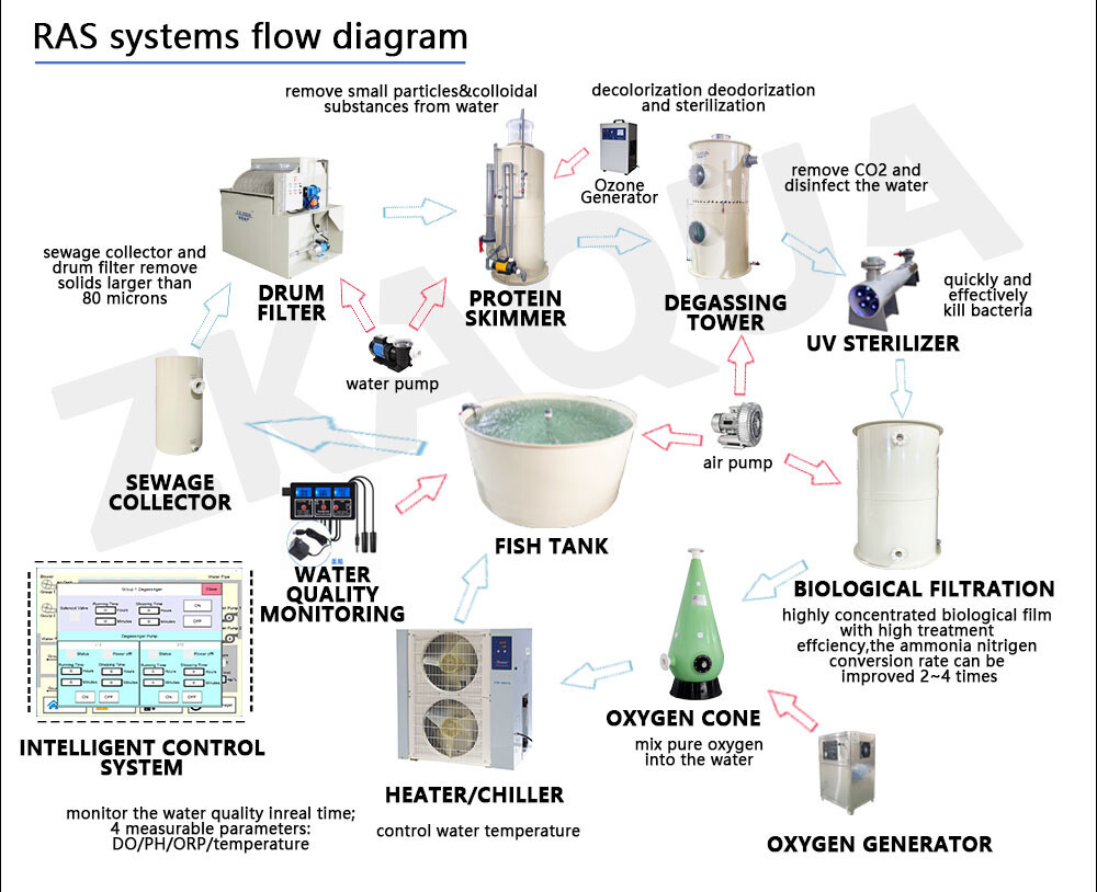 Other Aquaculture Equipment Fish Farm RAS Fish Farming System
