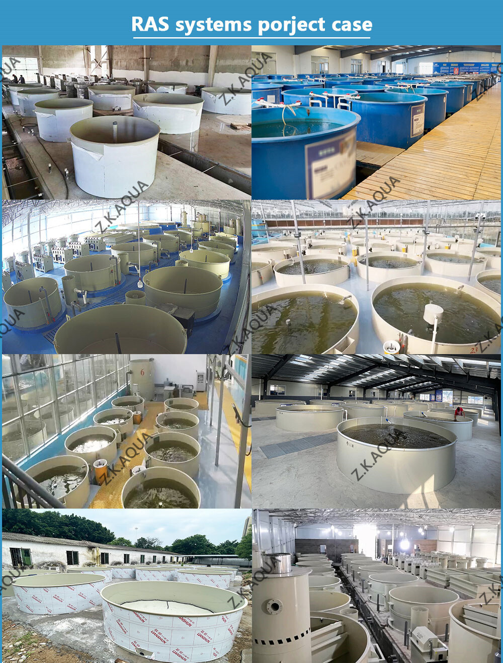 Other Aquaculture Equipment Fish Farm RAS Fish Farming System