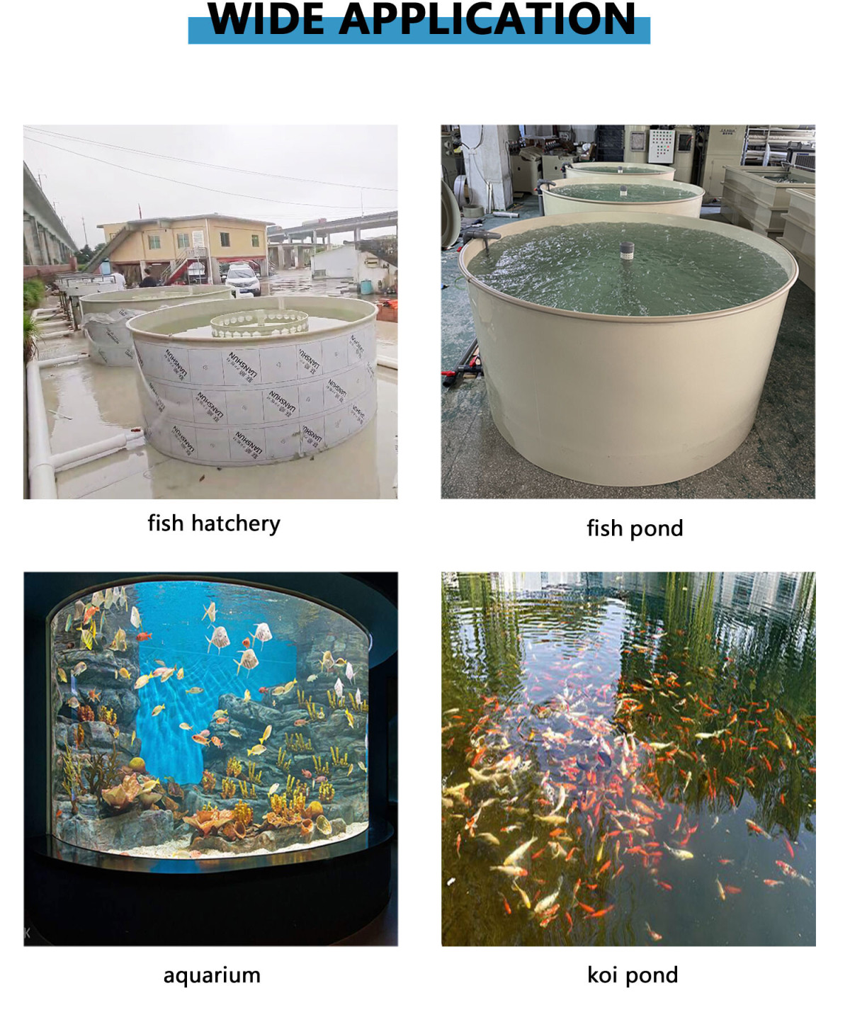 Mini Ras Water Treatment Machinery Circulation Ras Fish Farming Equipment Aquaculture Aquaculture System