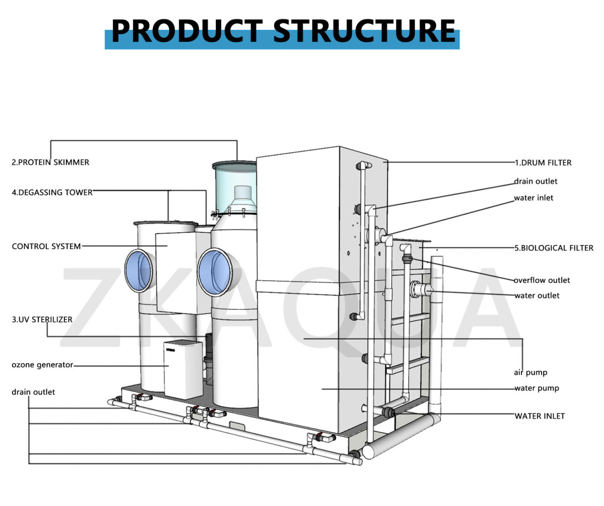 Mini Ras Water Treatment Machinery Circulation Ras Fish Farming Equipment Aquaculture Aquaculture System