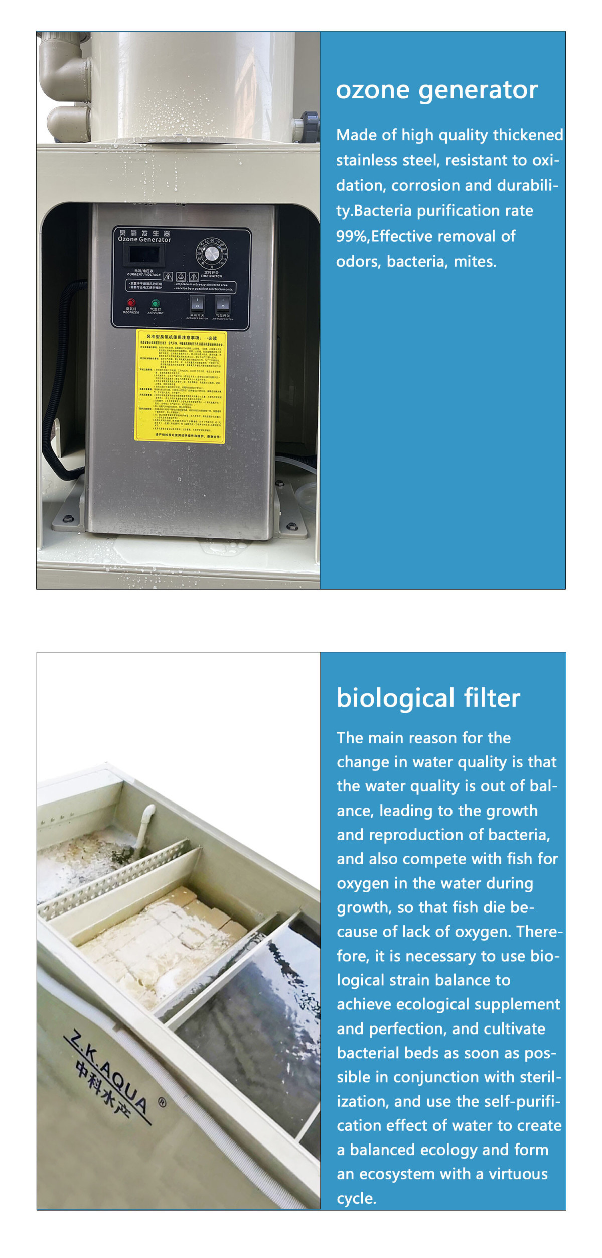 Live fish storage system