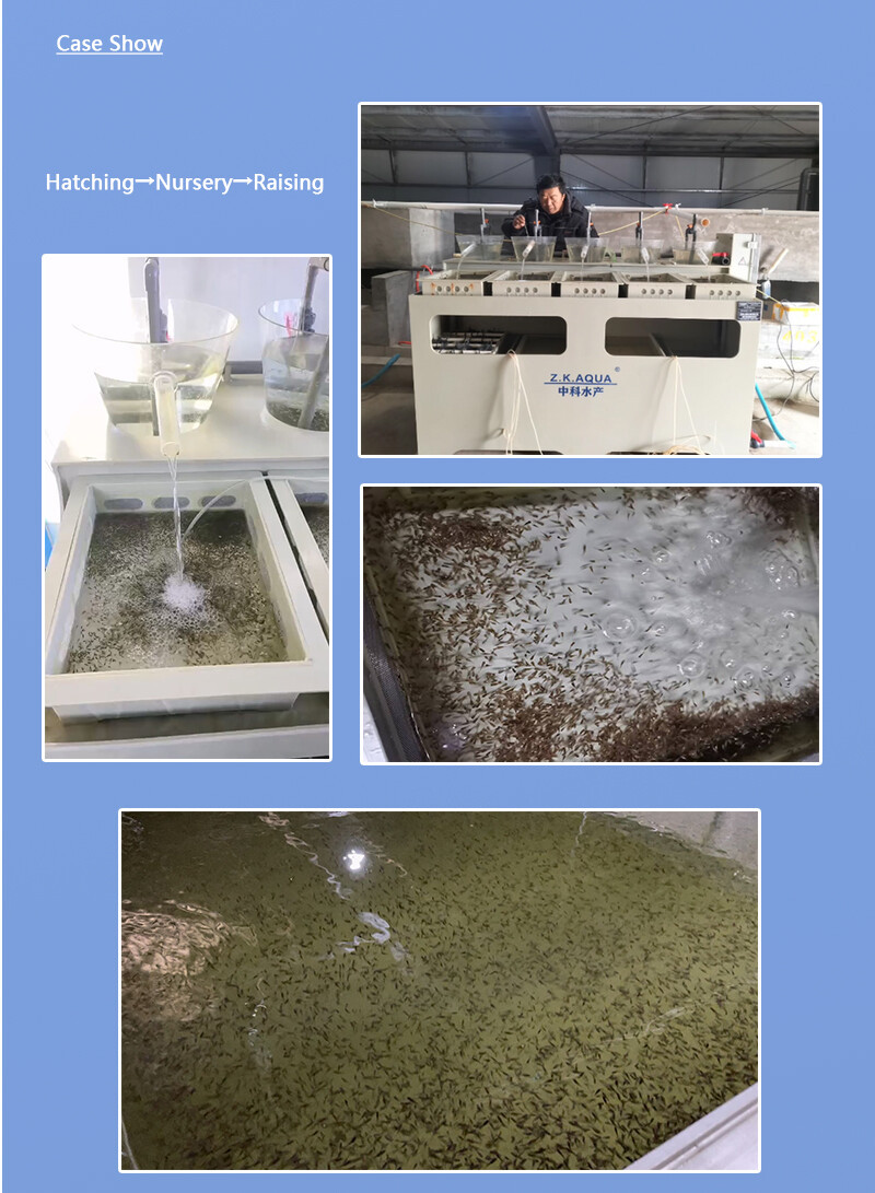 Hatchery & Nursery Integrated System