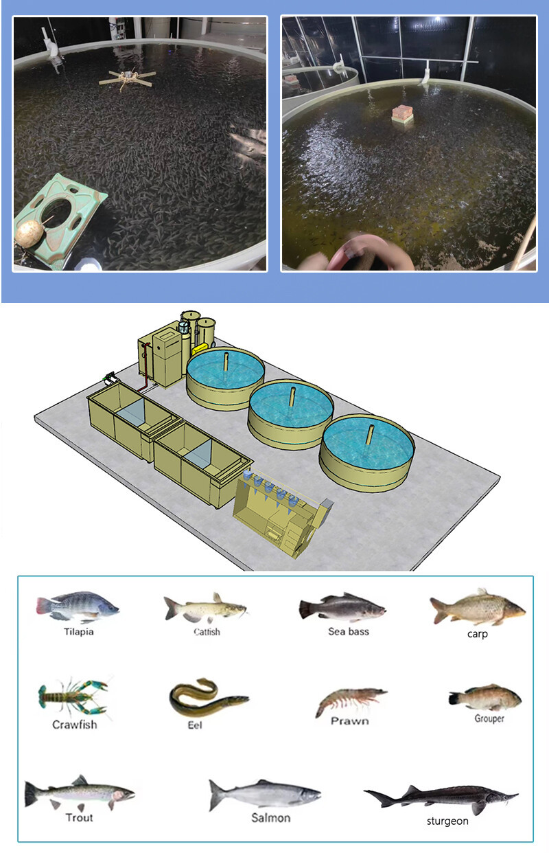 Hatchery & Nursery Integrated System