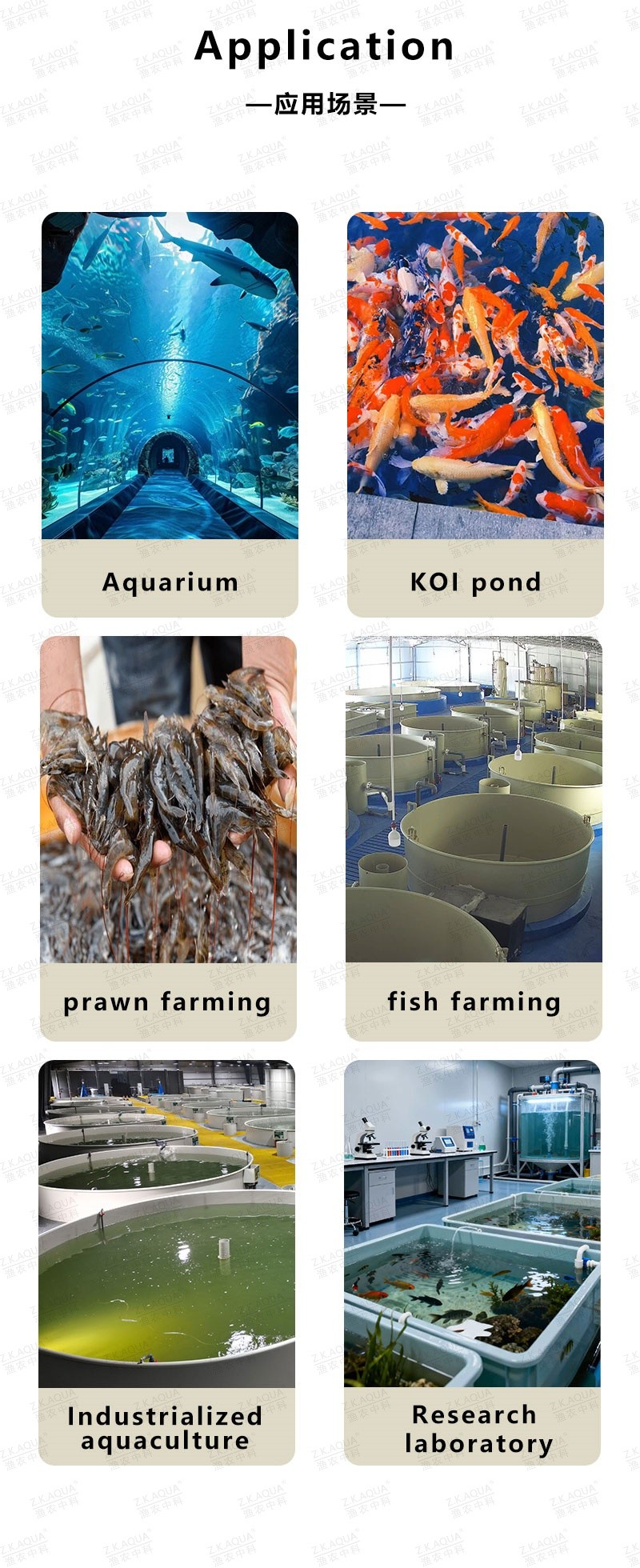 Aquaculture protein skimmer protein skimmer protein skimmer fish farming equipment for saltwater