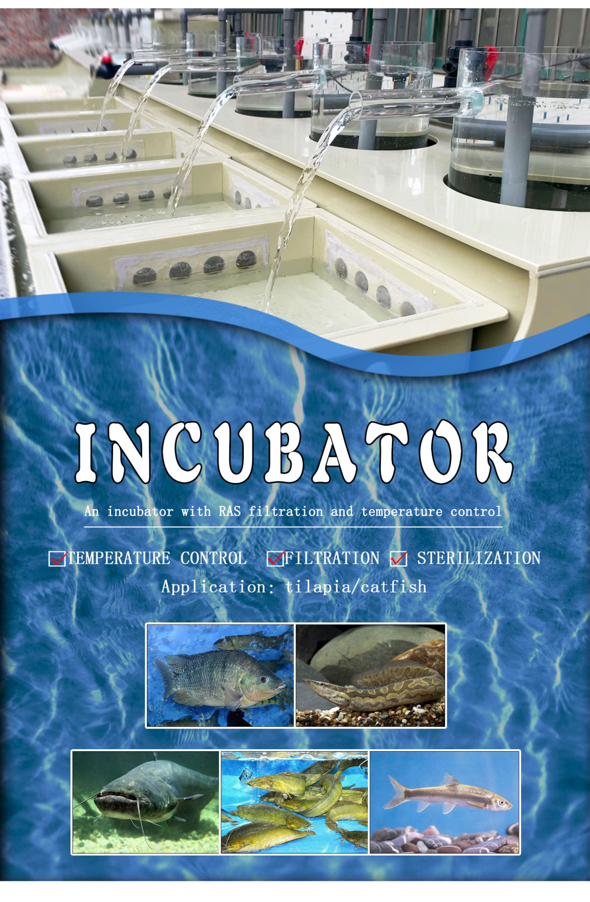 RAS Aquaculture System Equipment Indoor Fish Pond Fish Hatchery Fish Egg Incubator RAS Aquaculture System