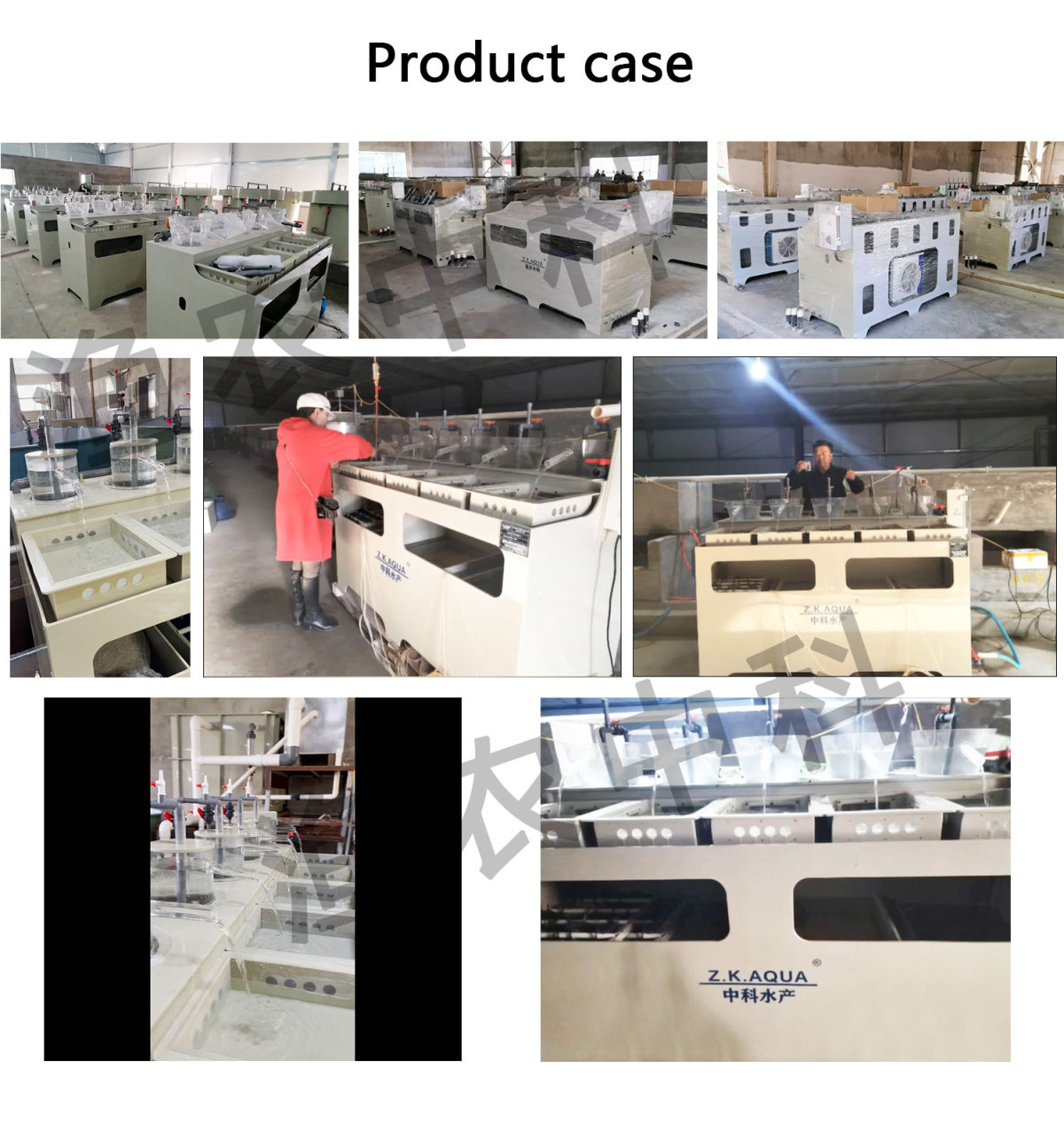RAS Aquaculture System Equipment Indoor Fish Pond Fish Hatchery Fish Egg Incubator RAS Aquaculture System