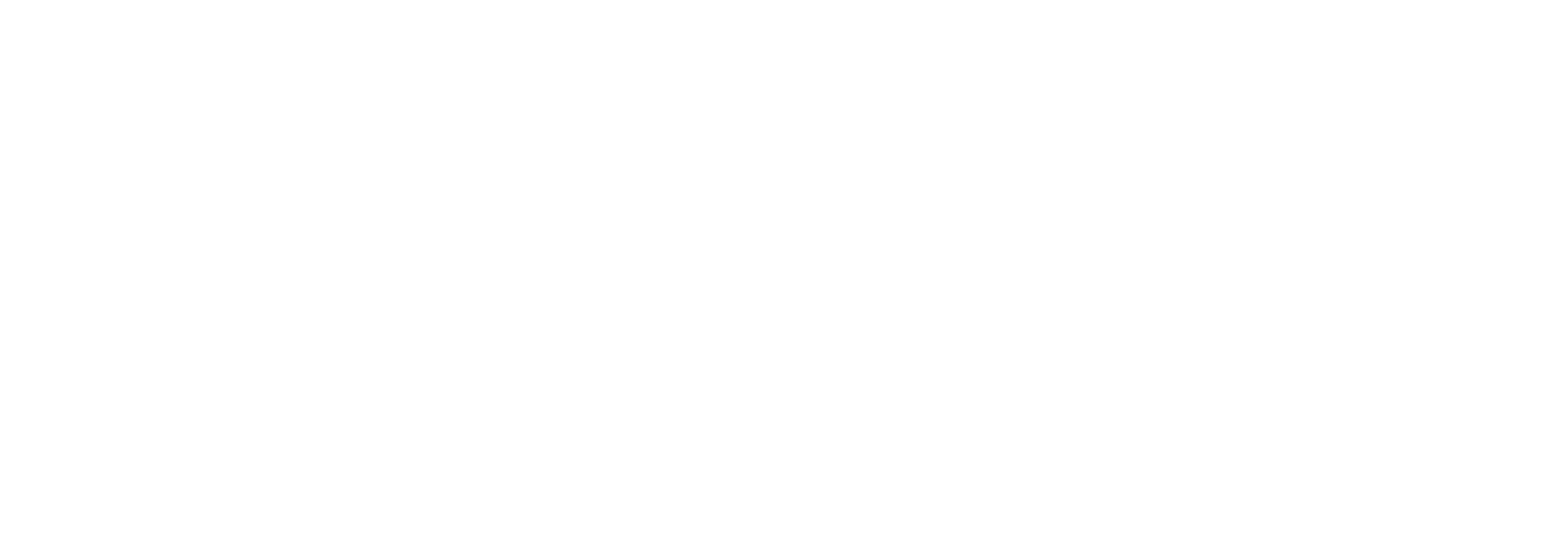 BBIS-包投logo-纯白