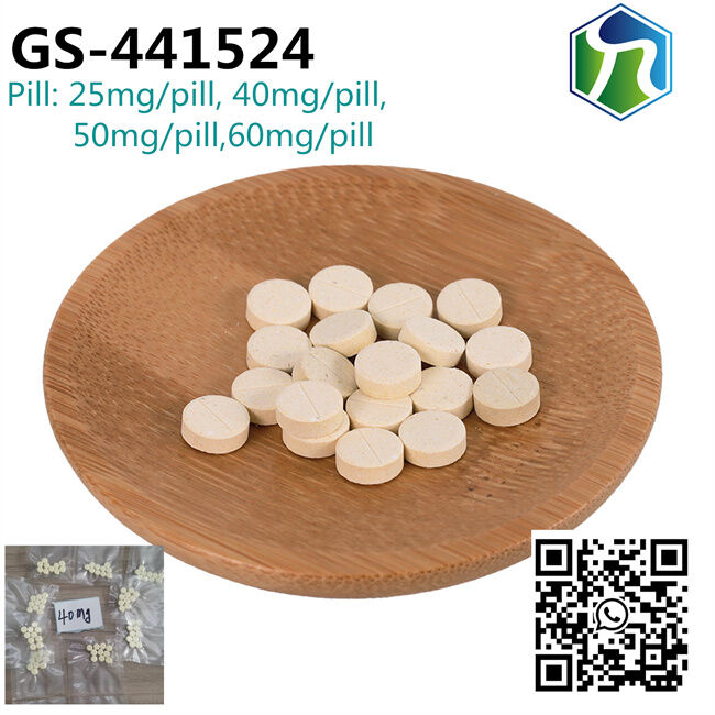 GS-441524 tablets pills