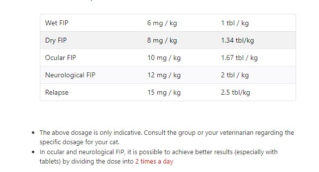 GS-441524 tablets pills