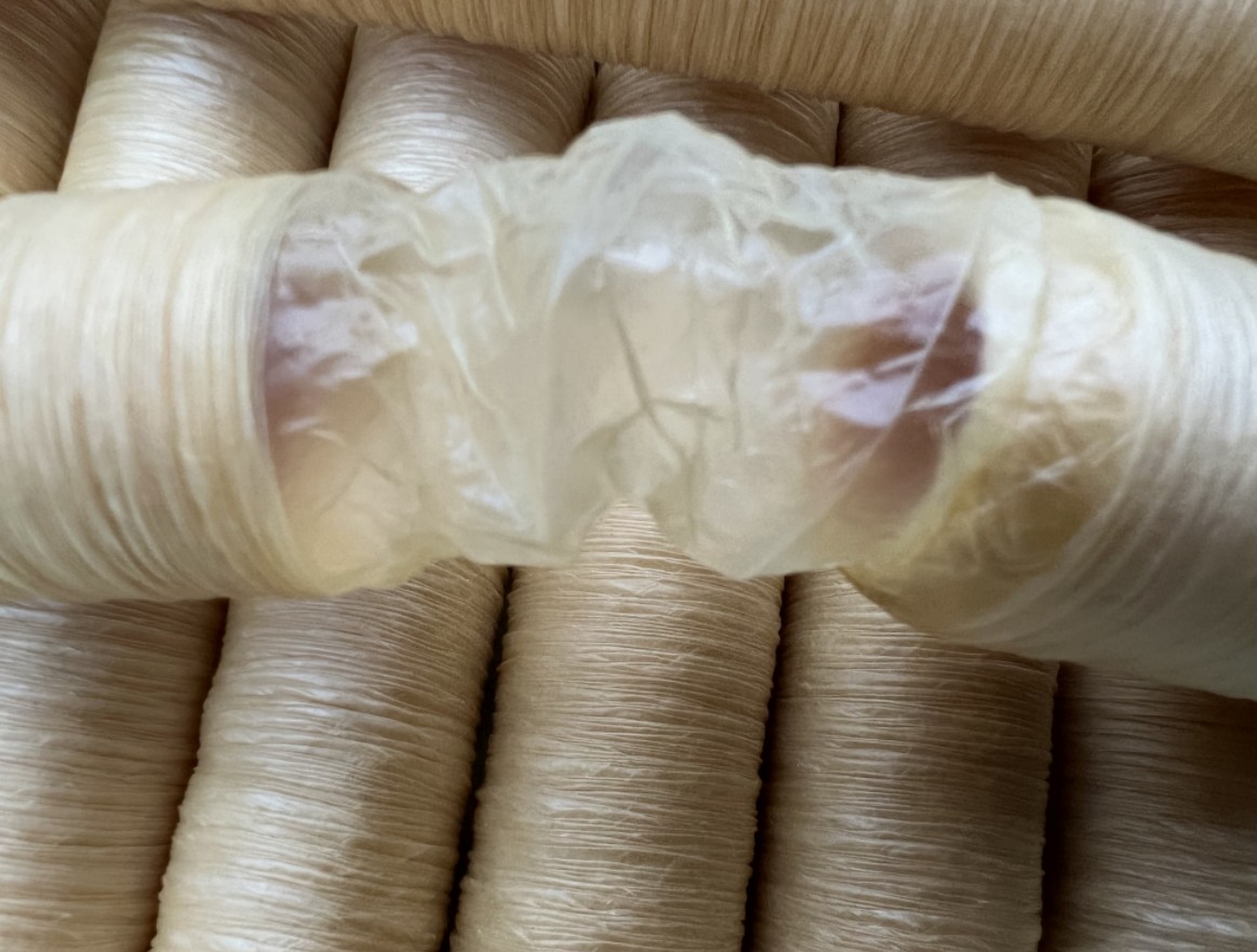 Dried casing