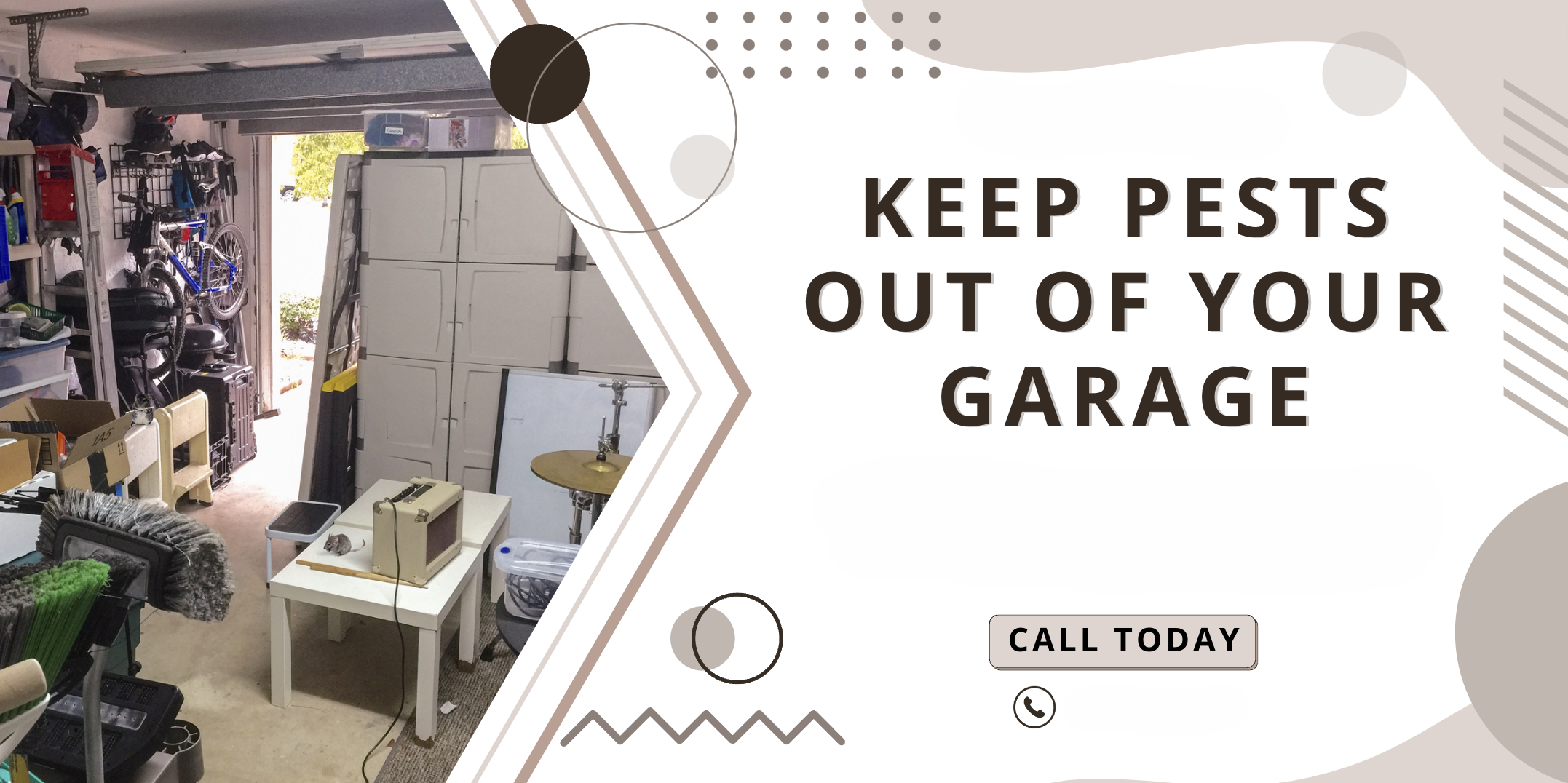 How to keep bugs out of your garage: A complete guide How to keep bugs out of your garage: A complete guide