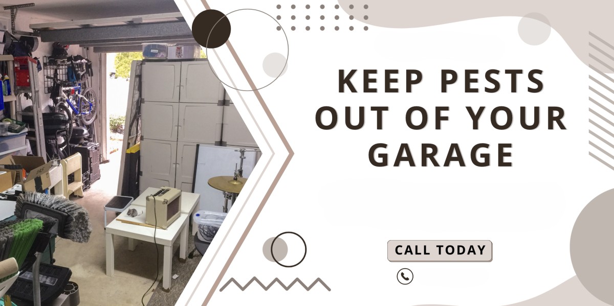 How to keep bugs out of your garage: A complete guide