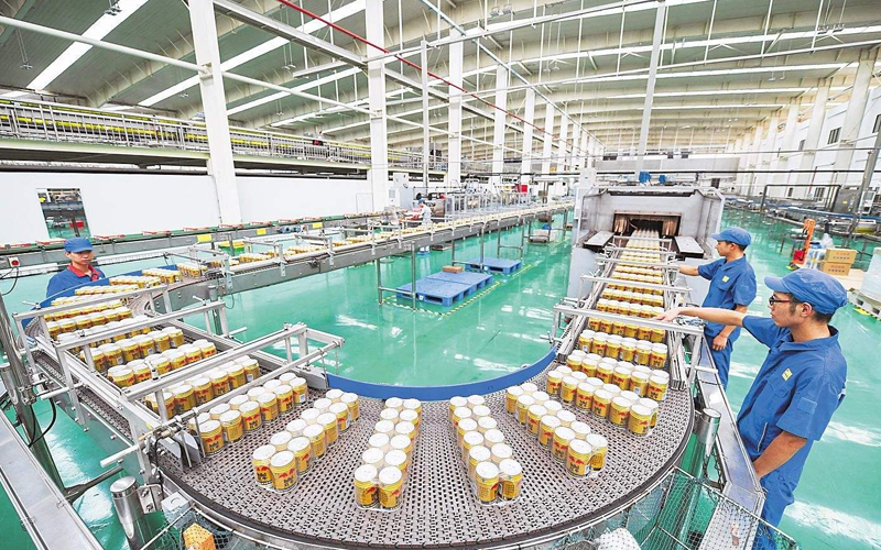 Supply tinplate and aluminum to the can factory Supply tinplate and aluminum to the can factory