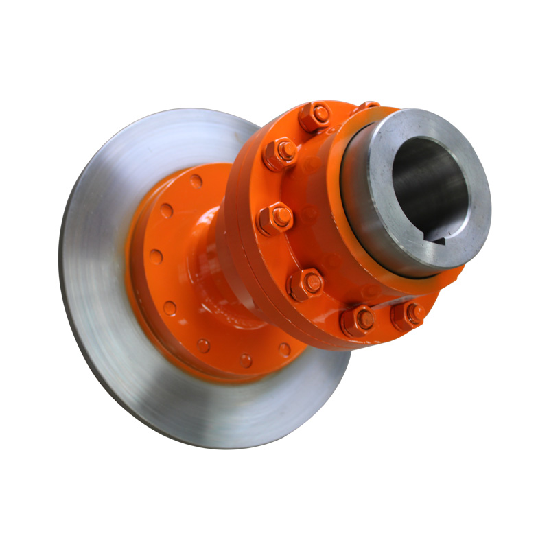 WGP Brake Wheel Drum Gear Coupling