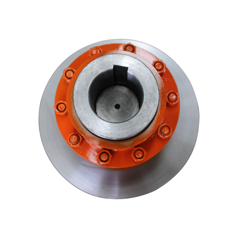 WGP Brake Wheel Drum Gear Coupling
