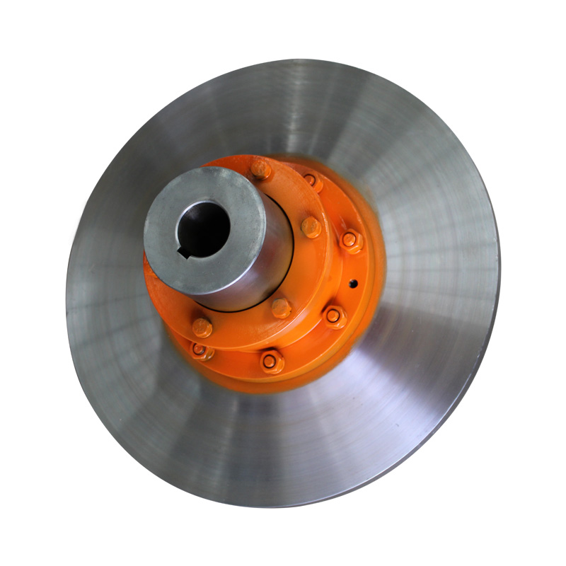 WGP Brake Wheel Drum Gear Coupling WGP Brake Wheel Drum Gear Coupling