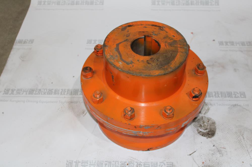 Application introduction of drum gear coupling in power plant