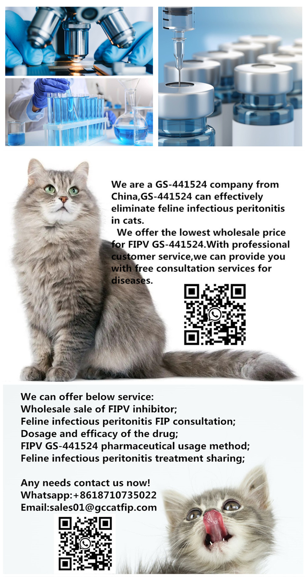 FIP FACT_副本.jpg GS441524 for cat FIP