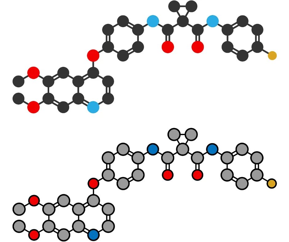 The Primary Material Alterations During Saccharification