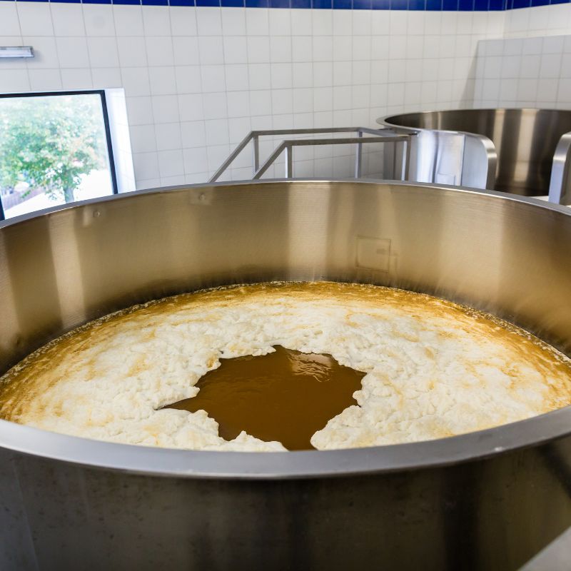 Two Factors That Affect The Quality Of Beer