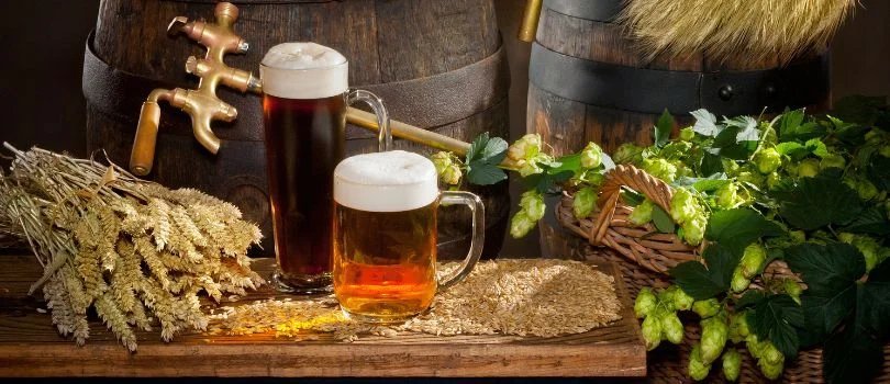 raw materials for brewing beer.jpg Home Brew Comprehensive Guide