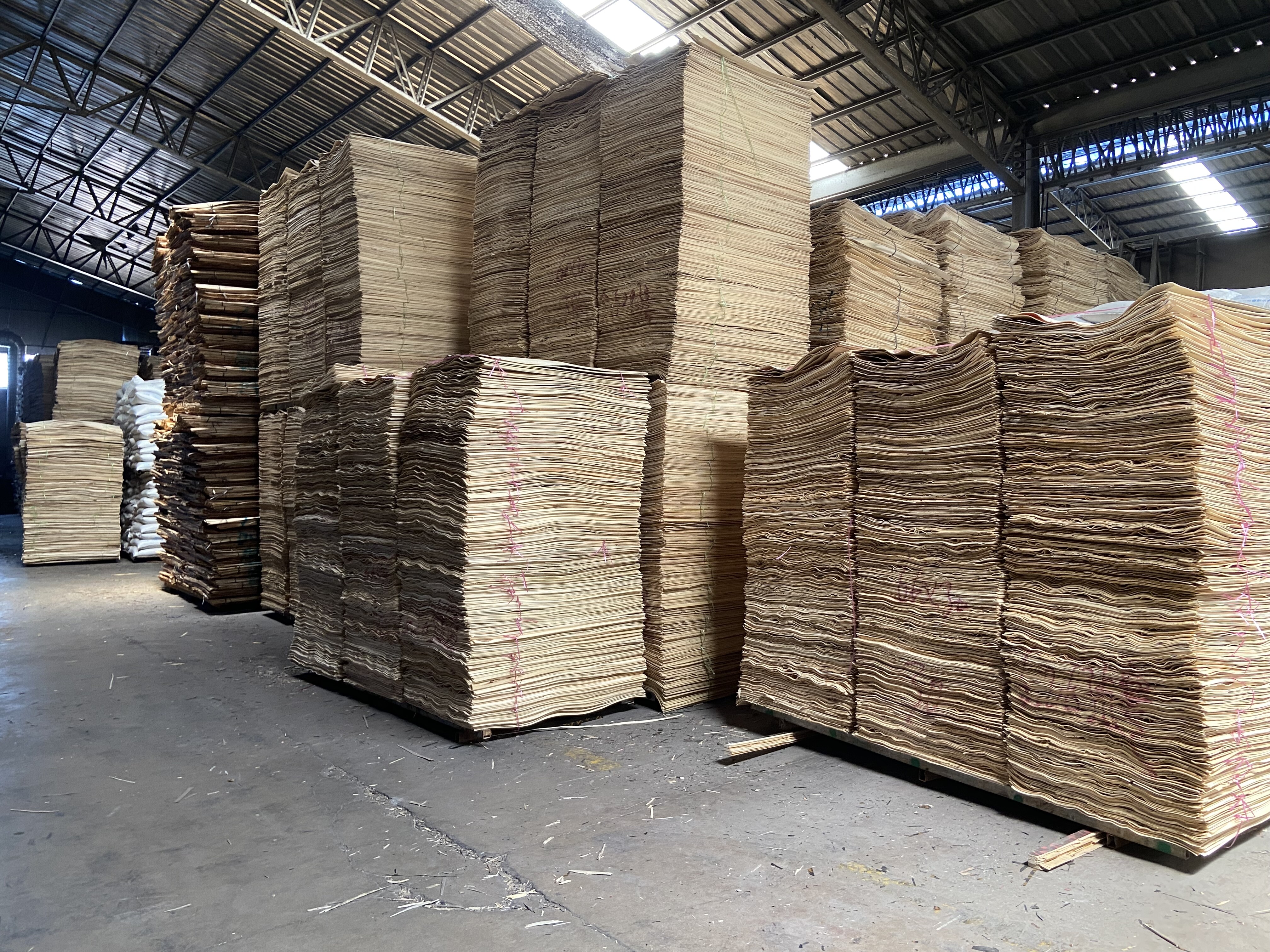 Flim Faced Plywood