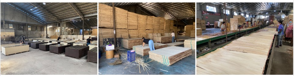 Flim Faced Plywood