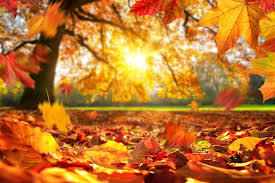 China's 24 Solar Terms-Beginning of Autumn