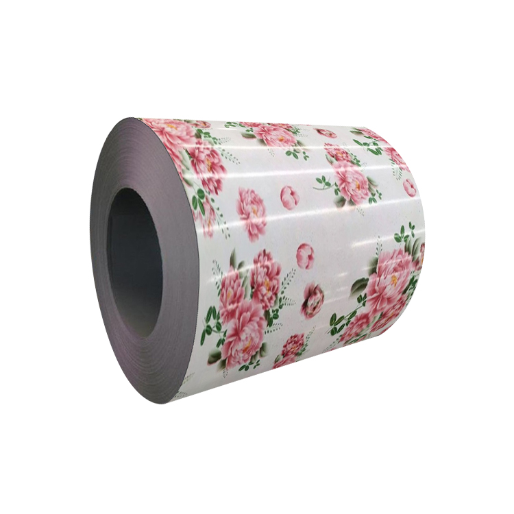 Pattern color coated Coil
