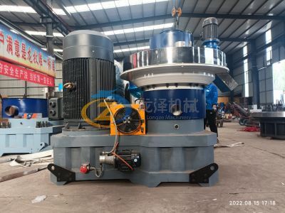 India Market Hot Sale XGJ560 Model.jpg HIGH QUALITY XGJ560 RING DIE PELLET MILL SEND TO INDIA