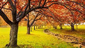 China's 24 Solar Terms-Beginning of Autumn