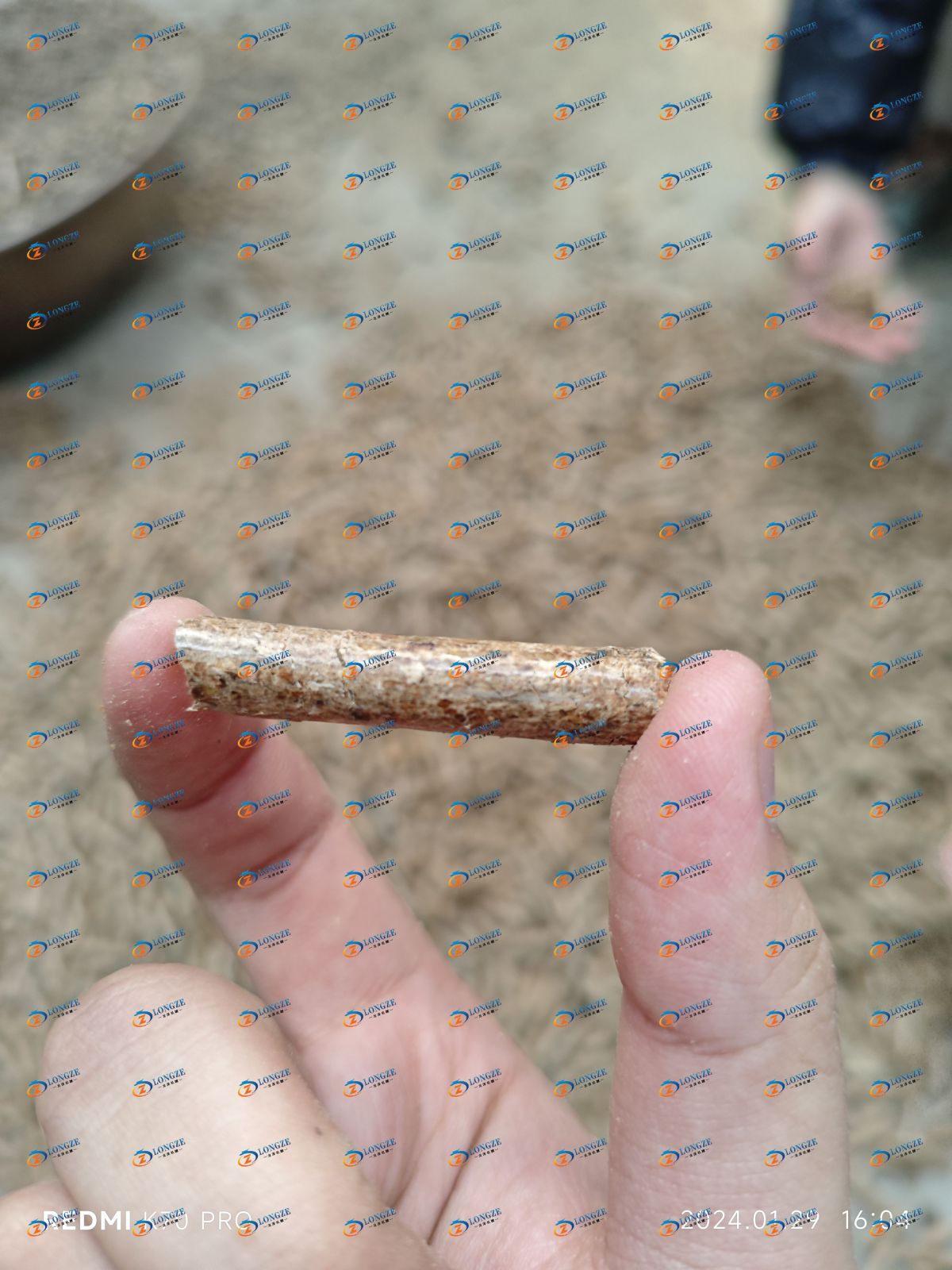 FLAT DIE PELLET MACHINE OPERATION TEST
