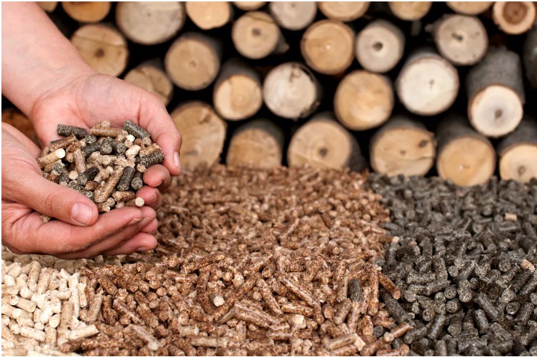 ring die wood pellet machine for farm hot sale