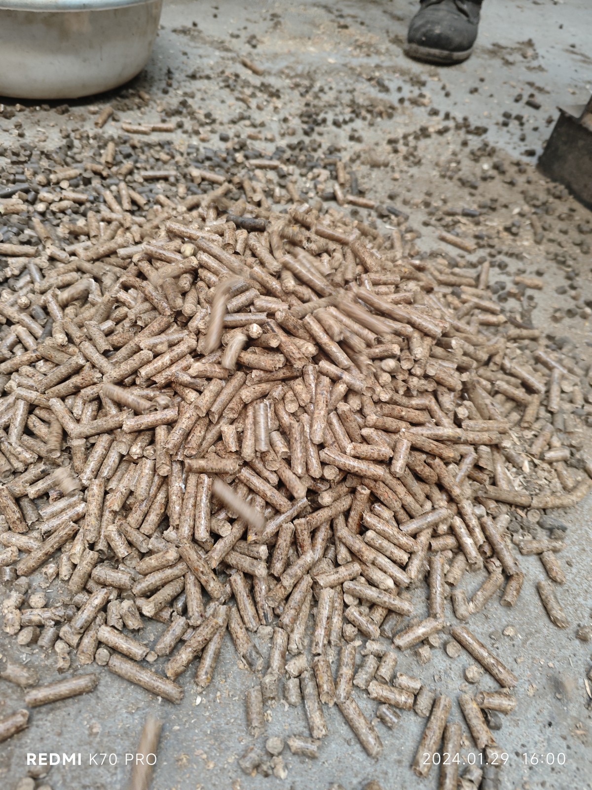 IMG_20240129_160029.jpg WOOD SAWDUST TEST-RUN ON PELLET MACHINE FOR CUSTOMER