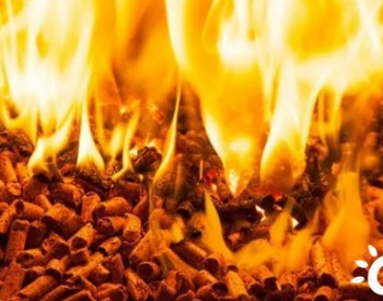 7ece685bf3a9540cc0b9265971344b1.png BIOMASS BURNER