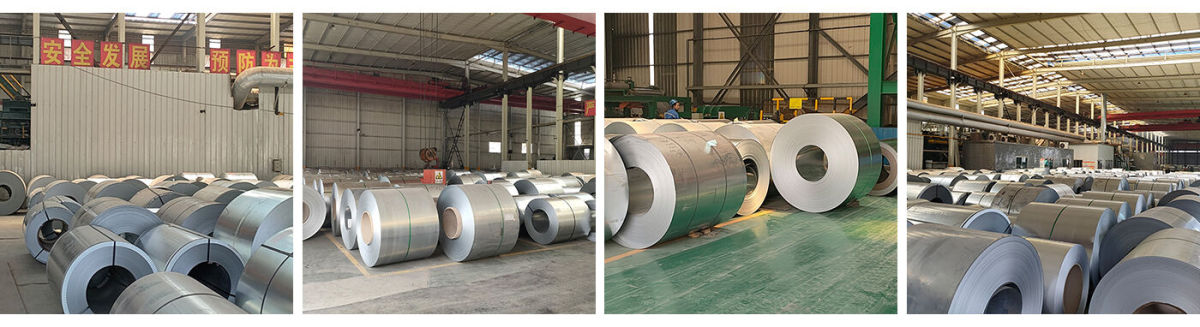 Galvanized Steel Coil