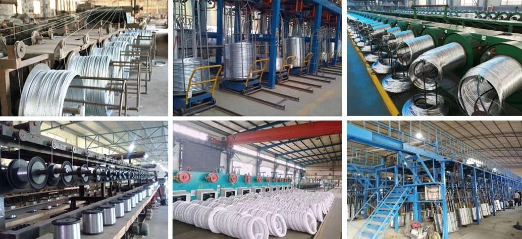 生产.jpg Galvanized steel wire