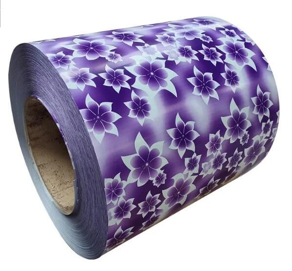 PPGI Coil