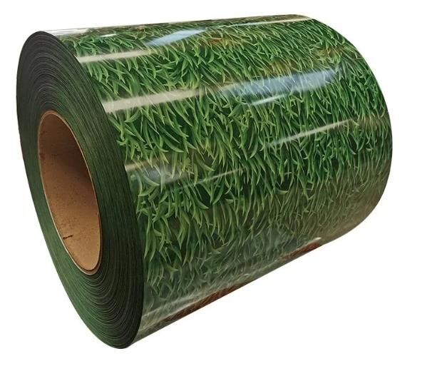 PPGI Coil