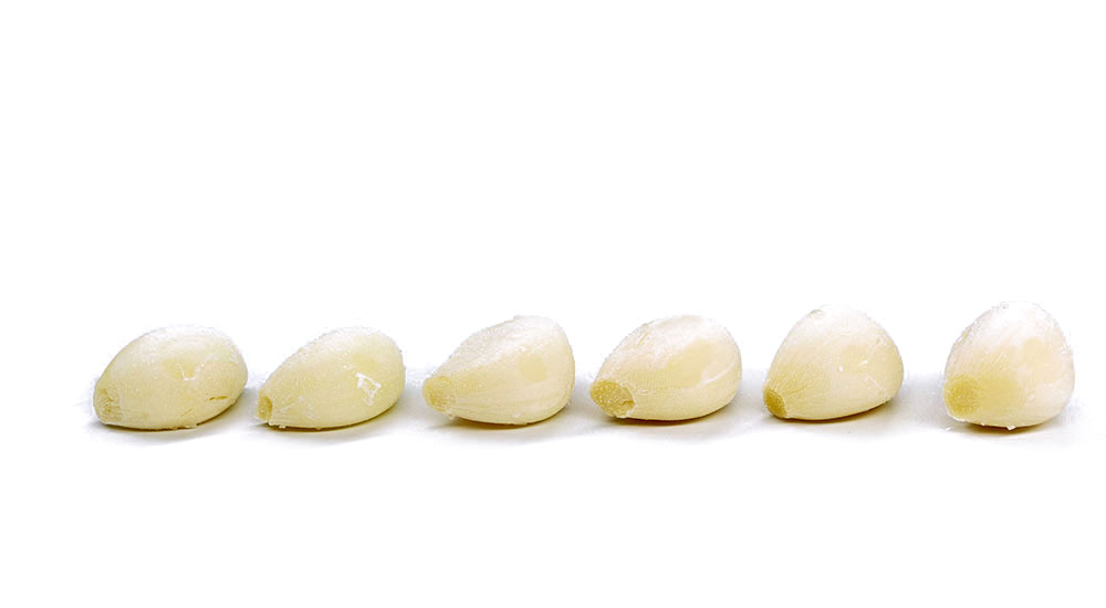 Frozen Garlic Series Frozen Garlic Series
