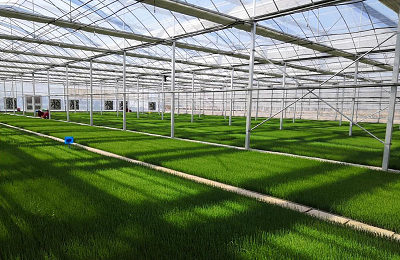 Interior view of the seedling base