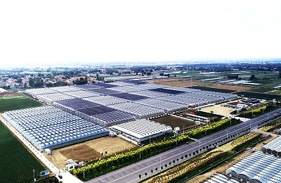 Aerial view of Nonggu Seedling Base