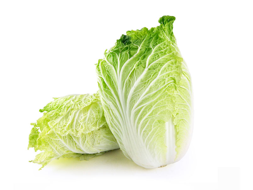 Chinese Cabbage