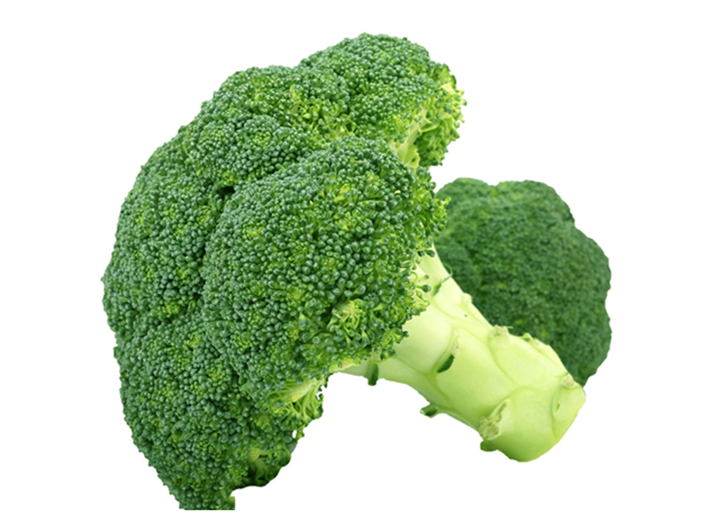 Fresh Broccoli Fresh Broccoli