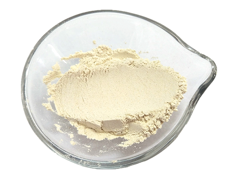 Horseradish Powder Horseradish Powder