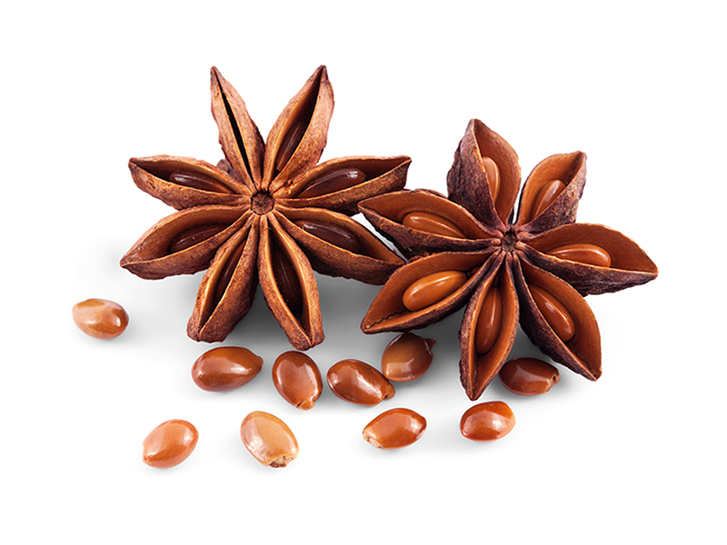 Star Anise Star Anise