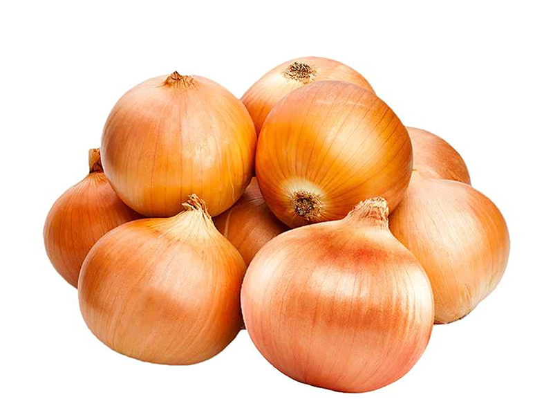 Organic Fresh Onion Organic Fresh Onion