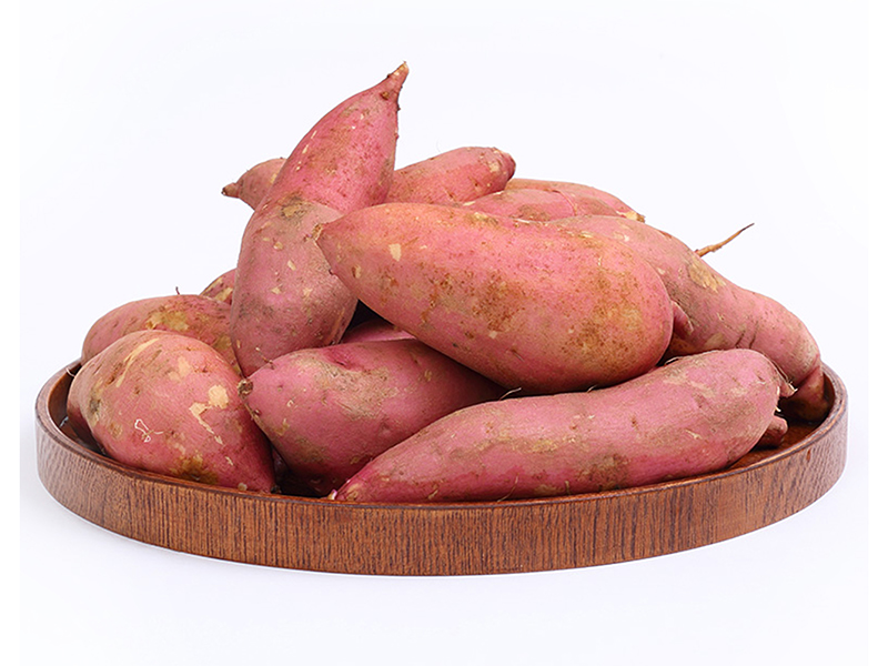 Organic Sweet Potato Organic Sweet Potato