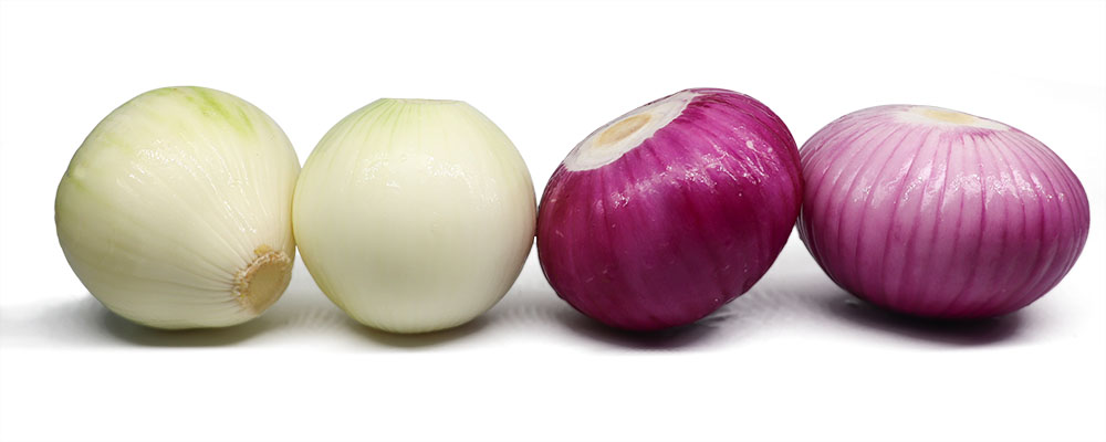 Fresh Peeled Onion:
