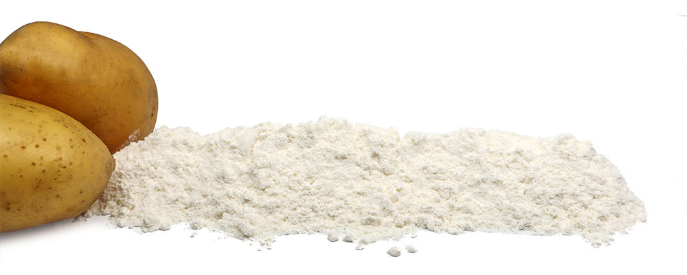 Potato Powder Potato Powder